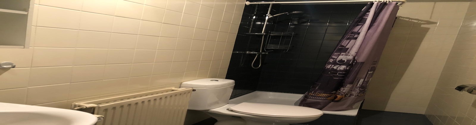 0 Molenstraat 0, Helmond, Noord-Brabant 5701KK, ,Appartement,Te huur,Molenstraat,1062